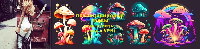 продажа наркотиков  Махачкала  Псилоцибиновые грибы MAGIC MUSHROOMS 